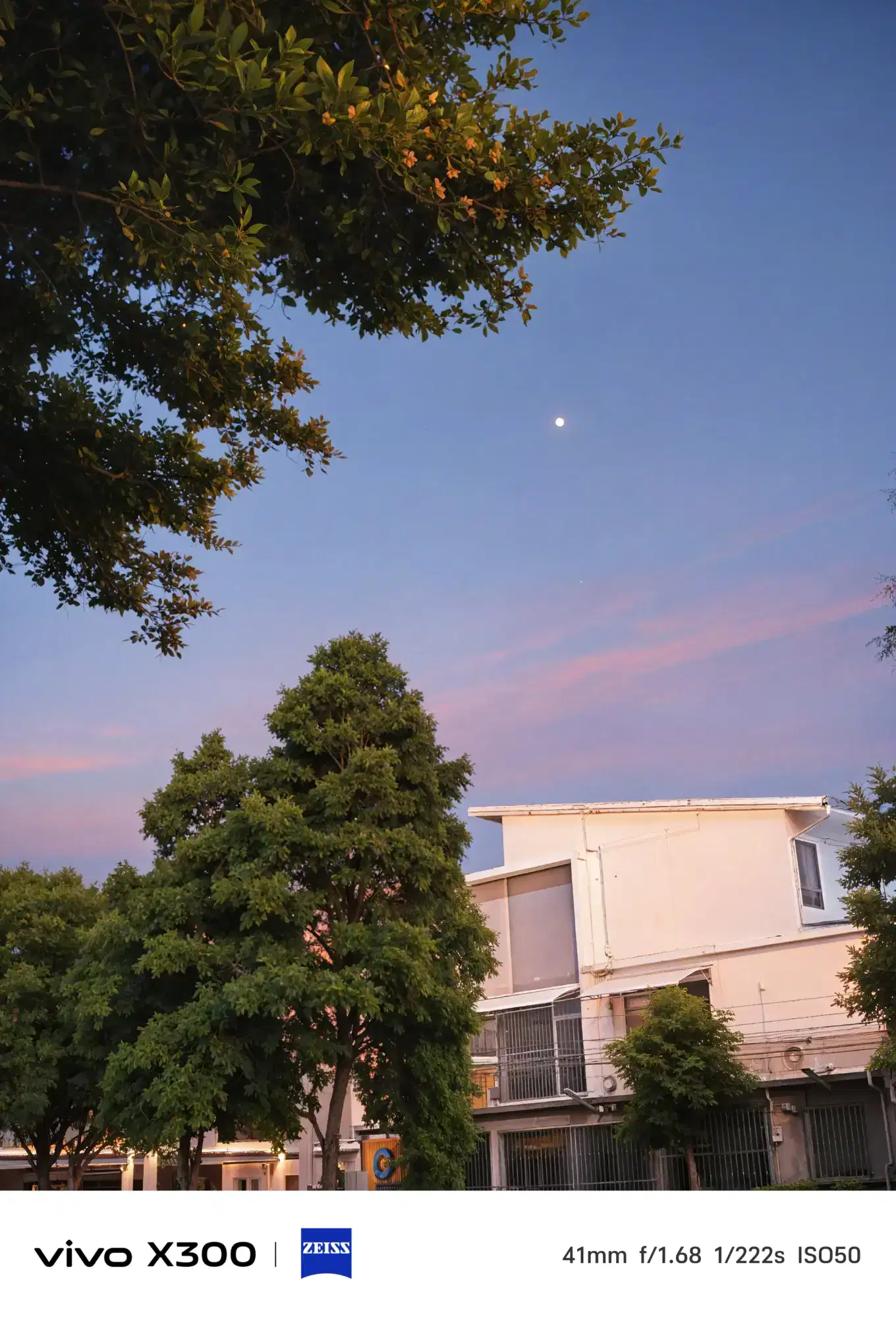 IMG 20251126