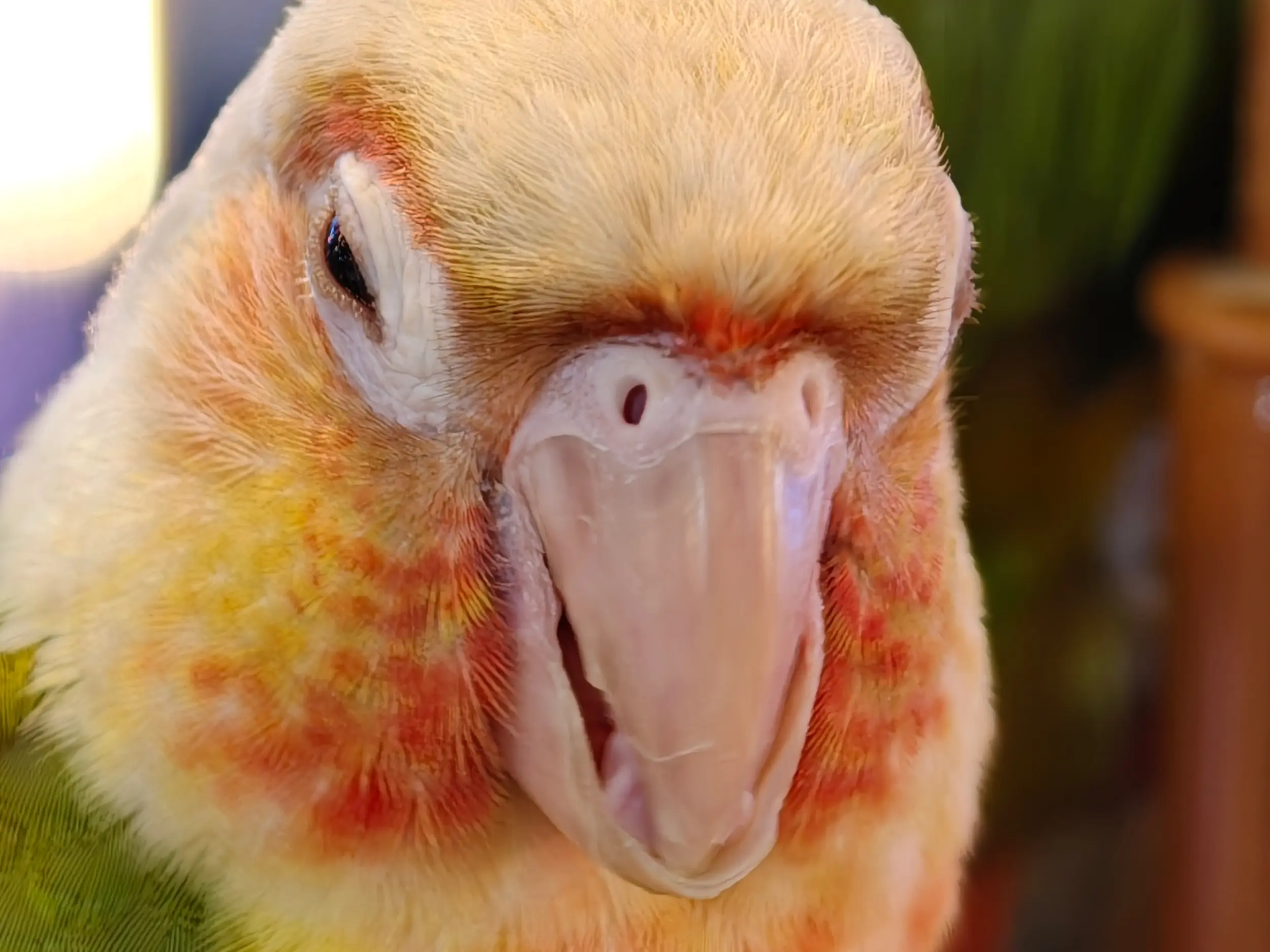 IMG20260430184611 crop
