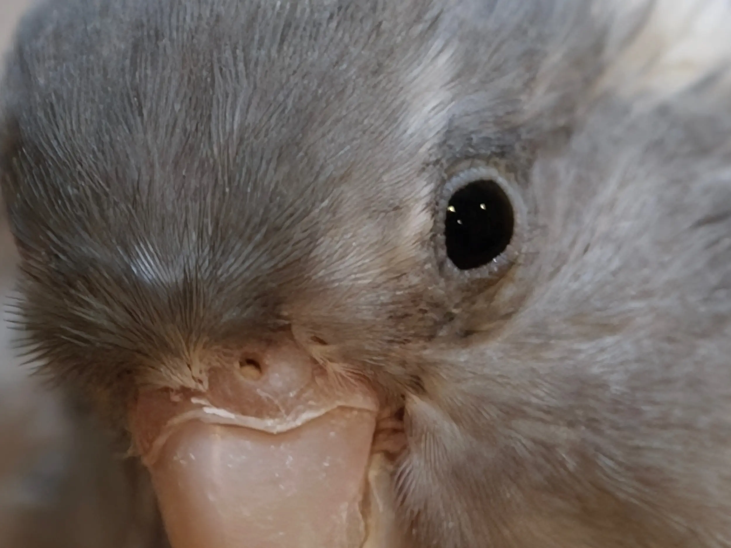 IMG20260501182230 crop