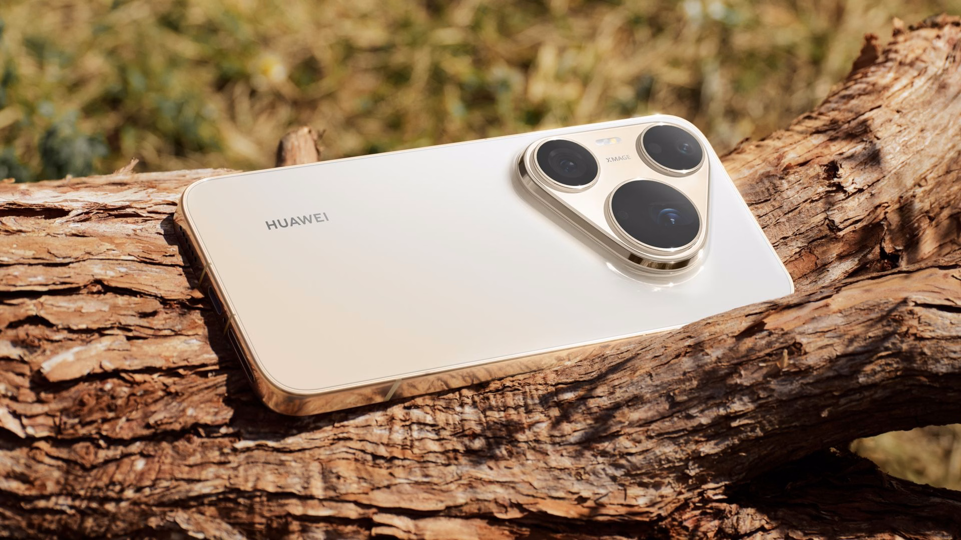 HUAWEI Pura 90s Pro Max วางบนกิ่งไม้ อวดโมดูลกล้อง XMAGE