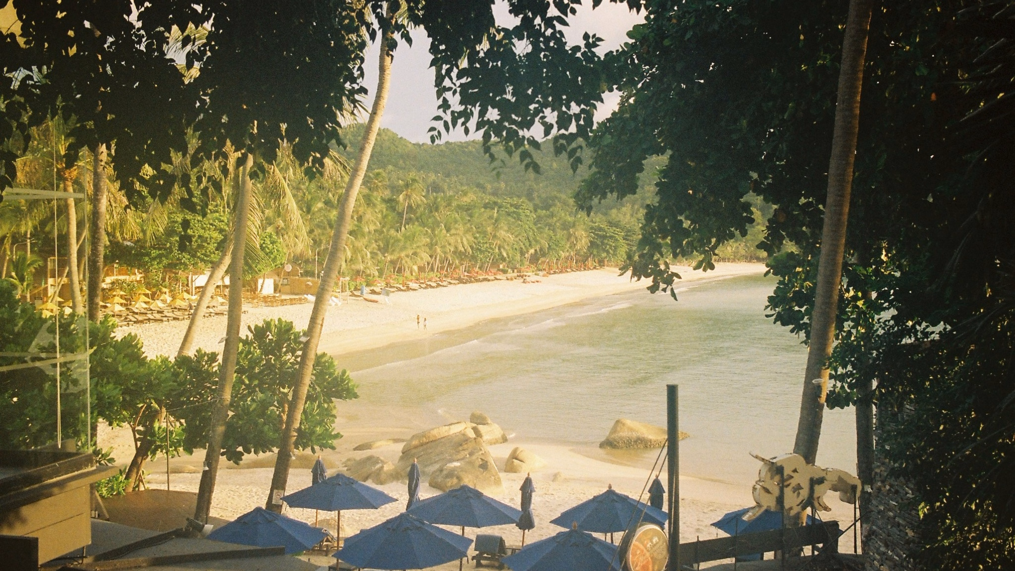 หาดทรายขาวและทะเลเกาะพะงันมองผ่านแมกไม้ริมชายหาด