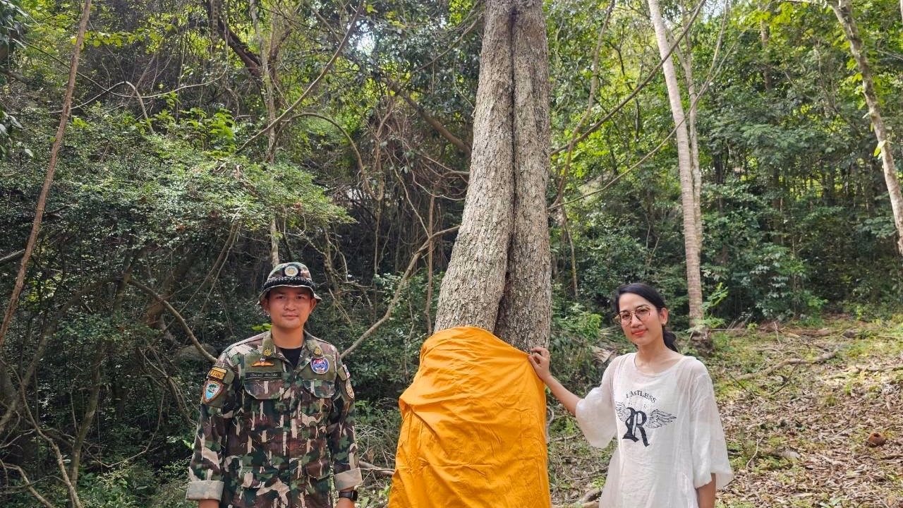 กิจกรรมบวชต้นไม้ที่ป่าน้ำตกธารเสด็จ มีเจ้าหน้าที่อุทยานและผู้เข้าร่วมโครงการยืนข้างต้นไม้ที่ห่มผ้าเหลือง
